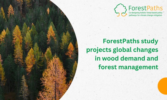 New ForestPaths study projects global changes in wood demand and forest management