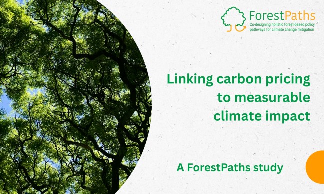 Linking carbon pricing to measurable climate impact: a ForestPaths study