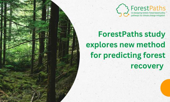 ForestPaths study explores new method for predicting forest recovery