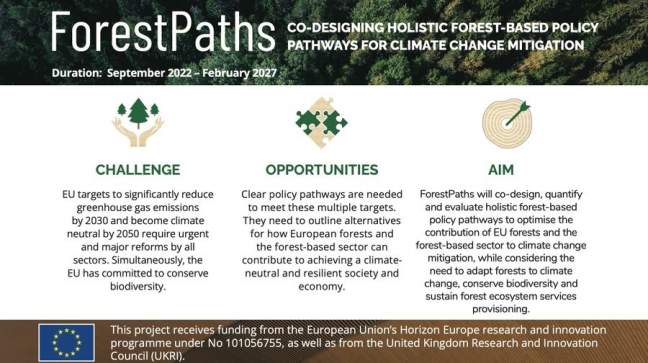 September rings in the beginning of the ForestPaths project