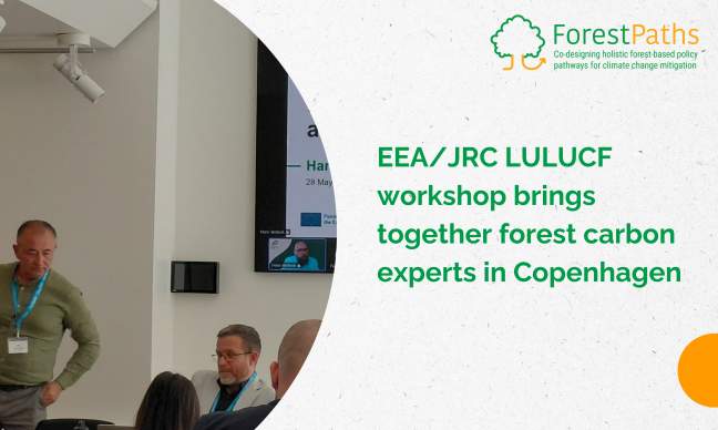 EEA/JRC LULUCF workshop brings together forest carbon experts in Copenhagen