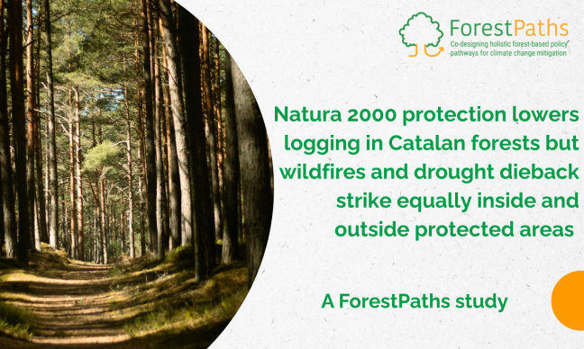 New ForestPaths paper: Natura 2000 protection lowers logging in Catalan forests but wildfires and drought dieback strike equally inside and outside protected areas