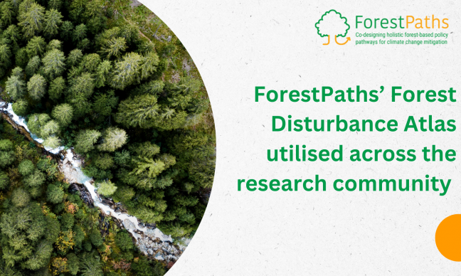 ForestPaths’ updated European Forest Disturbance Atlas is utilised across the research community