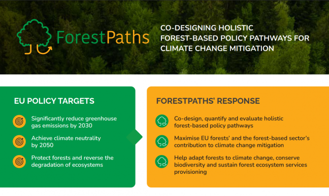Now available: ForestPaths’ new poster