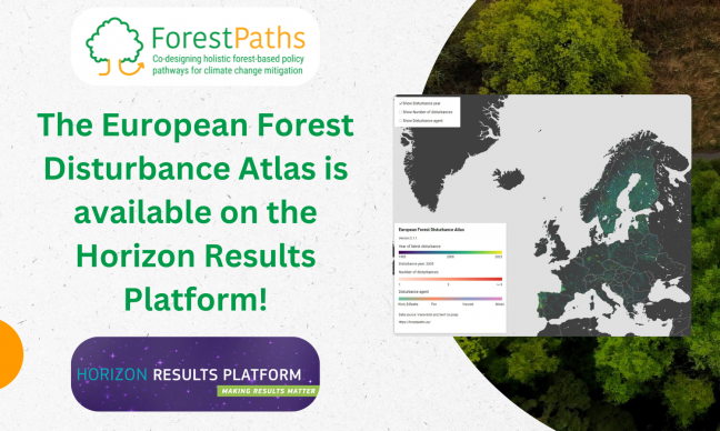 The European Forest Disturbance Atlas can now be found on the EU’s Horizon Results Platform