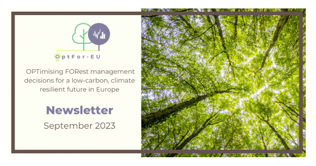 ForestPaths' policy brief featured in OptFor-EU’s September newsletter