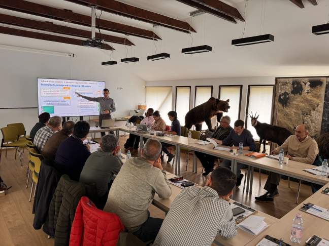 ForestPaths demo case workshop explores Climate and Biodiversity-Smart (CBS) forest management in Romania