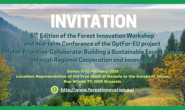 Sustainability in forestry as a core theme of the upcoming 6th Forest Innovation Workshop