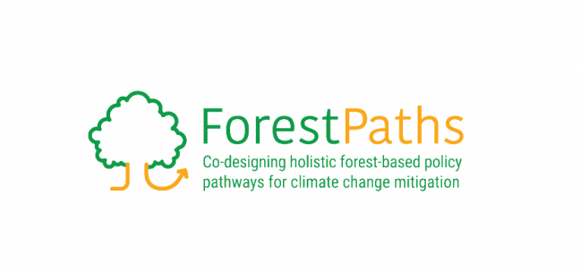 Mini-milestone for ForestPaths