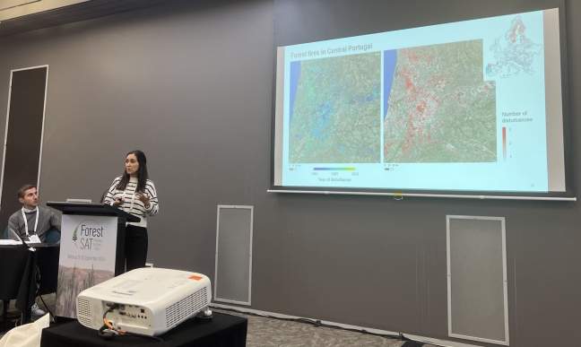 ForestPaths’ European Forest Disturbance Atlas showcased at ForestSAT in New Zealand