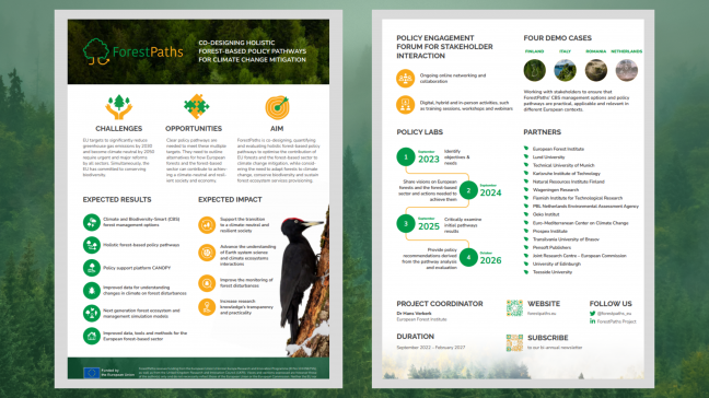 Goals, expected results and upcoming activities: Discover ForestPaths’ new two-pager