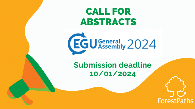 EGU24: enhancing our understanding of forests' potential to mitigate climate change