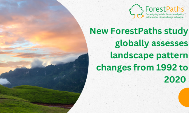 New ForestPaths study globally assesses landscape pattern changes from 1992 to 2020