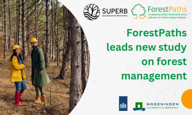 ForestPaths partners lead a new study on forest management’s effects on flora and fauna