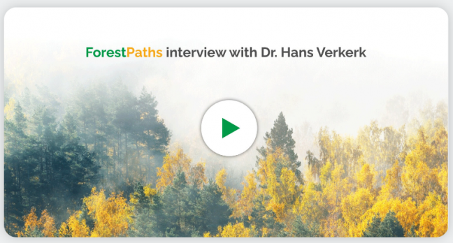 New video: Hans Verkerk takes us through the story of ForestPaths