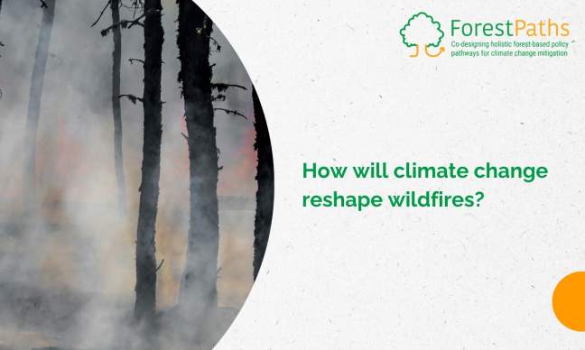 How will climate change reshape wildfires? A ForestPaths study