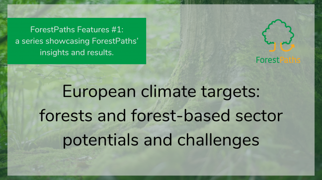 ForestPaths Features #1: Shaping the 2040 EU climate target - ForestPaths issues forest-based mitigation recommendations