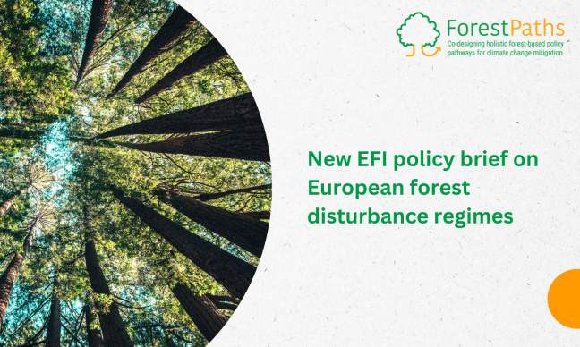 EFI releases new policy brief on the future of European forest disturbance regimes