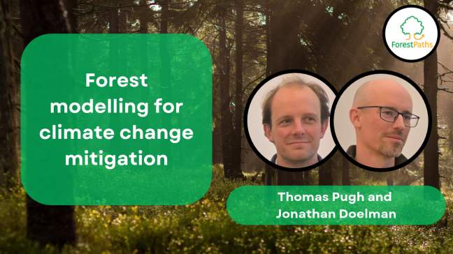 Forest modelling for climate change mitigation: interview with Thomas Pugh and Jonathan Doelman