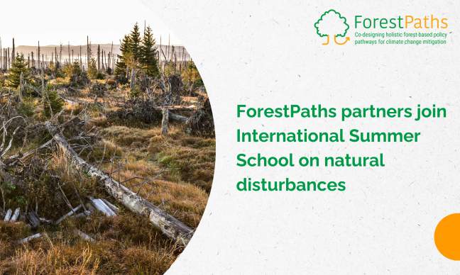 ForestPaths partners join International Summer School on natural disturbances