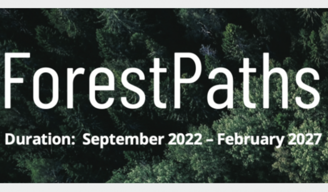 New EU project will offer forest-based policy pathways for a climate-neutral society