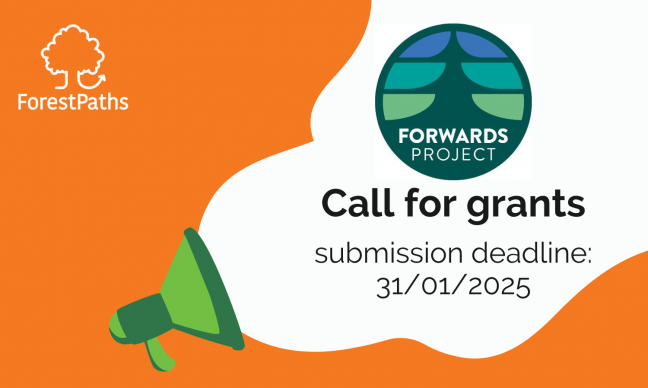 Characterisation of European forest disturbances: a new grant call announced by the FORWARDS project