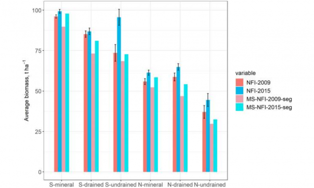 ForestPaths partners offer insights into forest biomass mapping for climate mitigation