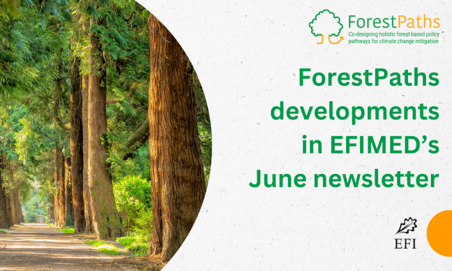 ForestPaths' latest developments featured in EFIMED's June 2025 newsletter