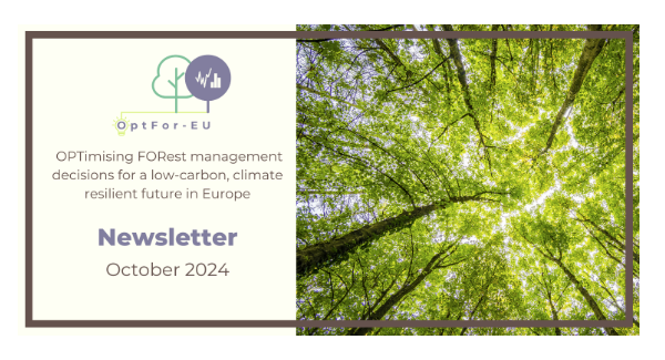 ForestPaths’ latest policy brief and data tools highlighted in OptFor-EU’s October newsletter