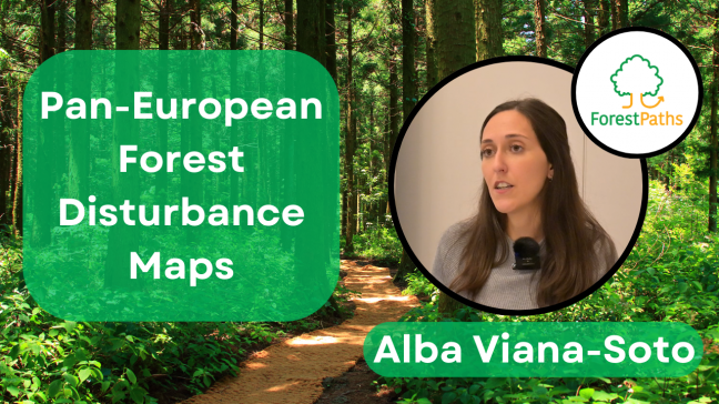 ForestPaths partner Alba Viana-Soto showcases forest disturbance maps in new interview