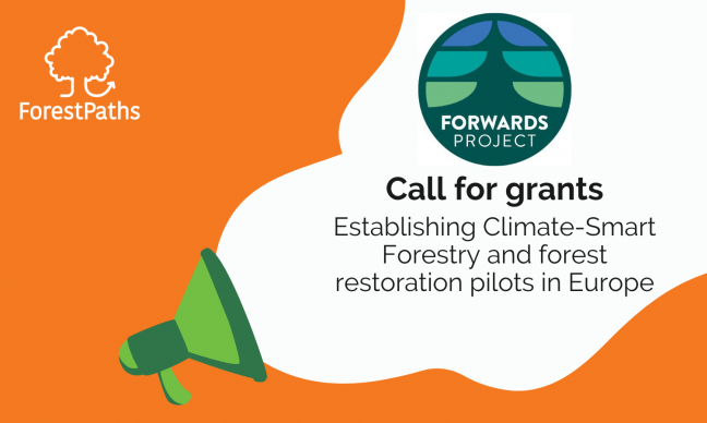 FORWARDS project launches a new funding call for Climate-Smart Forestry