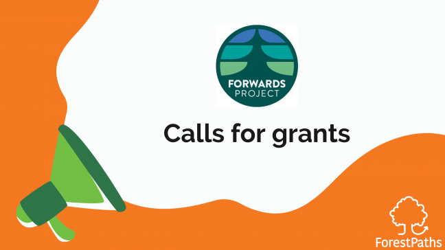 Forest monitoring and disturbance characterisation: FORWARDS project launches two new calls for grants