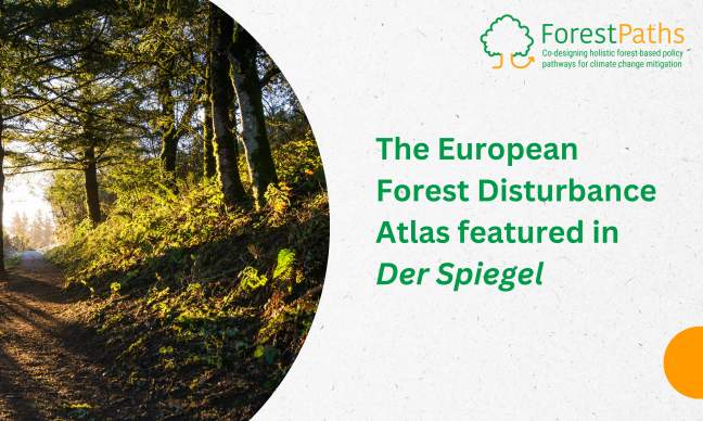 ForestPaths’ European Forest Disturbance Atlas featured in Der Spiegel