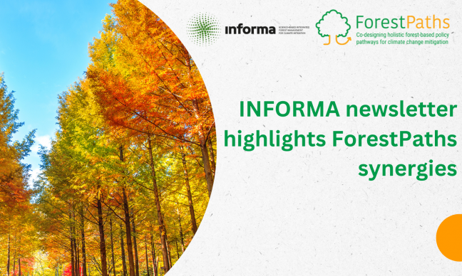 INFORMA’s project newsletter highlights synergies undertaken by ForestPaths