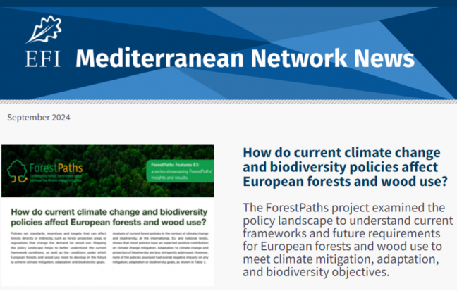 ForestPaths’ latest policy brief in the spotlight within EFIMED’s newsletter