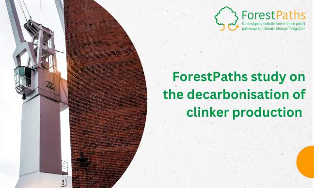 ForestPaths study looks into the decarbonisation of clinker production