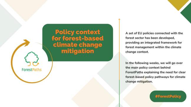 Discover ForestPaths’ forest policy campaign