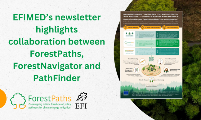 EFIMED’s newsletter highlights collaboration between ForestPaths, ForestNavigator and PathFinder