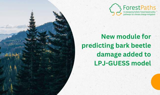 New module for predicting bark beetle damage added to LPJ-GUESS model