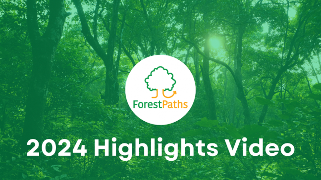 ForestPaths looks back on 2024 in a new video