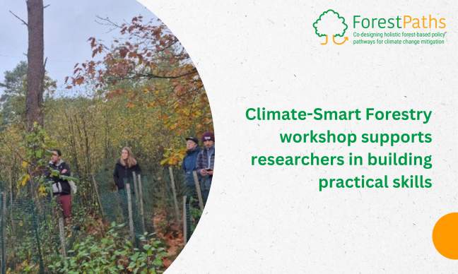 Climate-Smart Forestry workshop supports researchers in developing practical skills