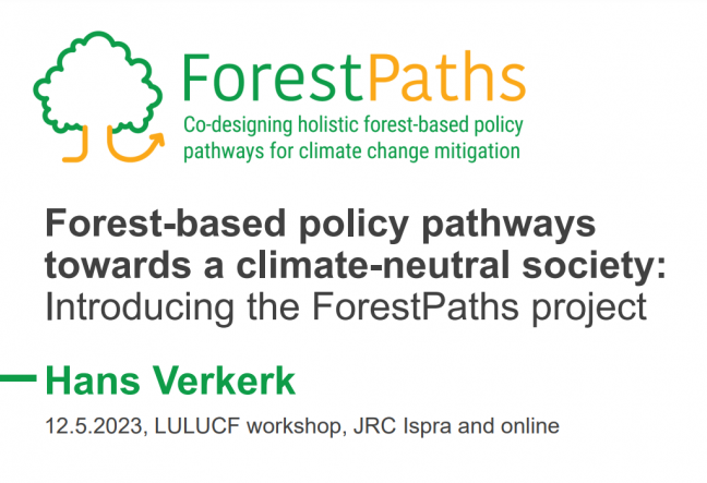 ForestPaths in dialogue with key stakeholders for GHG reporting