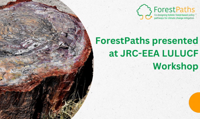 ForestPaths presented at JRC-EEA LULUCF Workshop in Ispra, Italy