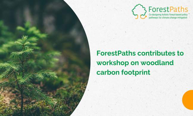 ForestPaths contributes to Cambridge workshop on woodland carbon footprint