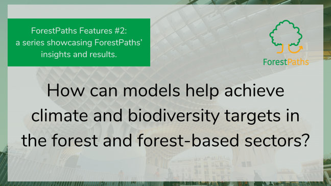 ForestPaths Features #2: Exploring the project’s next generation assessment framework