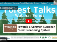 Successful launch of #ForestTalks webinar series on European forest monitoring