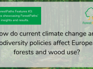 ForestPaths Features #3: ForestPaths observes the effects of current legislation on Europe’s forests