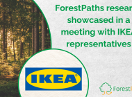 ForestPaths presents project research to IKEA representatives
