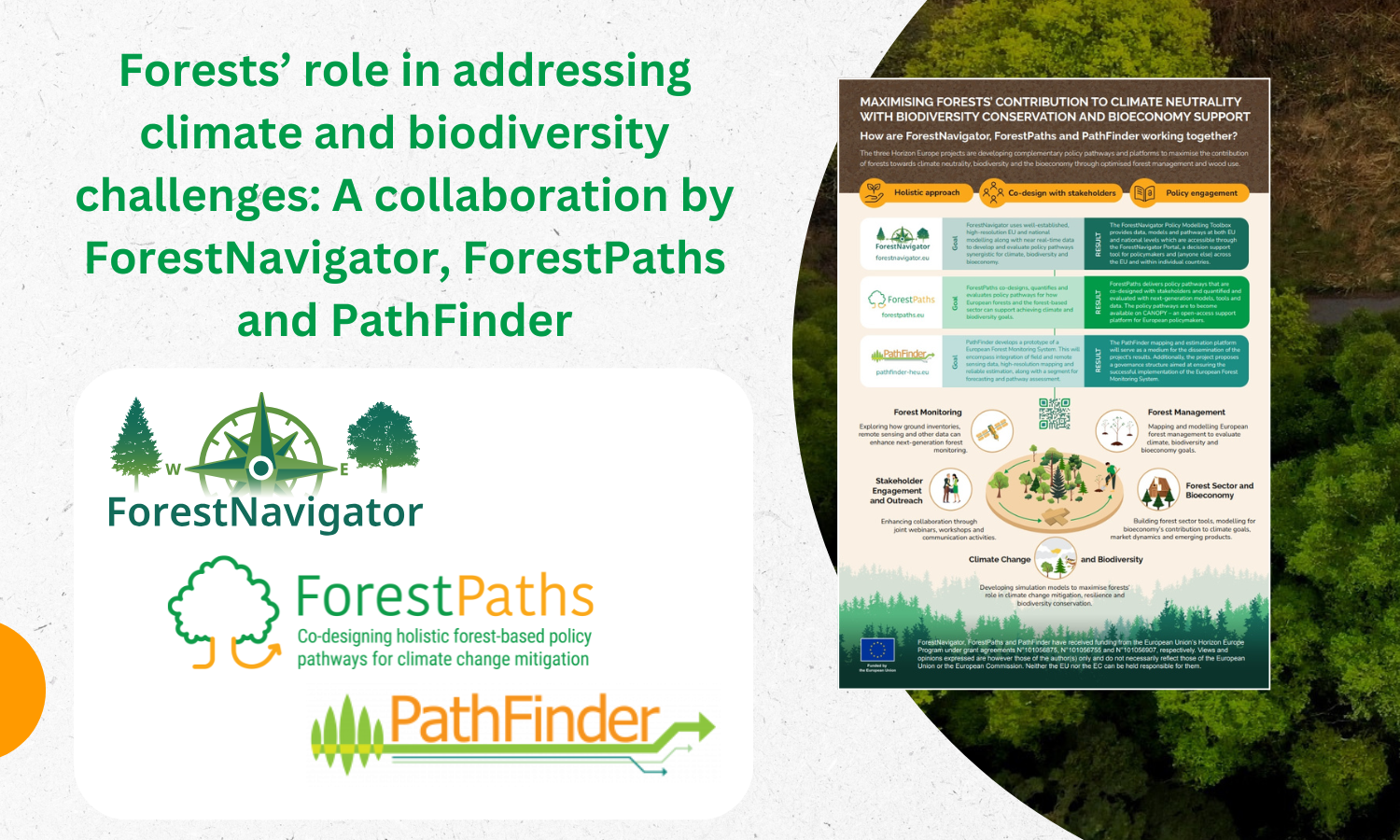 Forests’ role in addressing climate and biodiversity challenges: A collaboration by ForestNavigator, ForestPaths and PathFinder