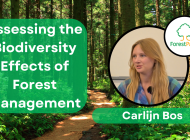Assessing styles of forest management: Carlijn Bos in a new interview on ForestPaths research